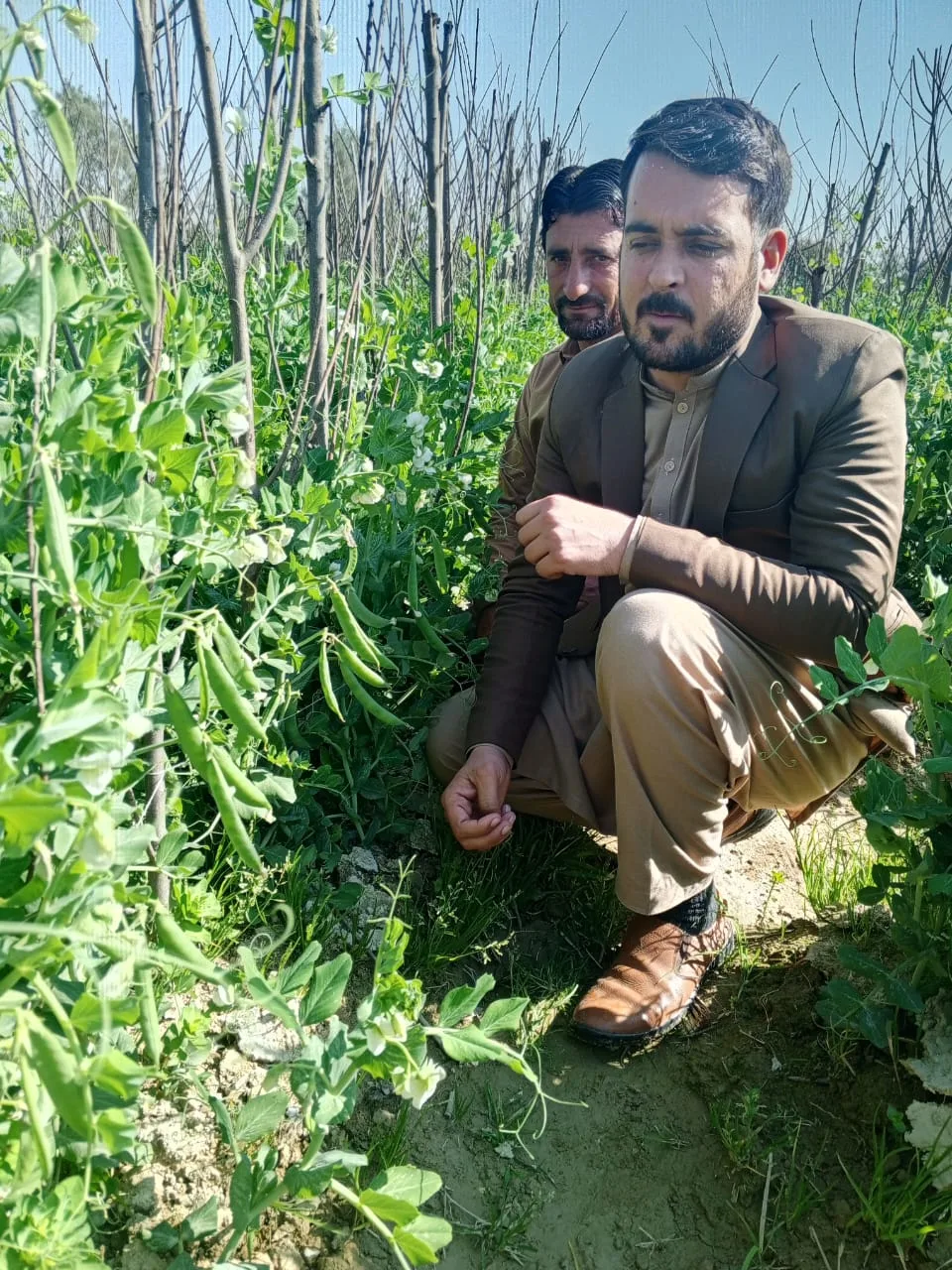 Zahid hussain