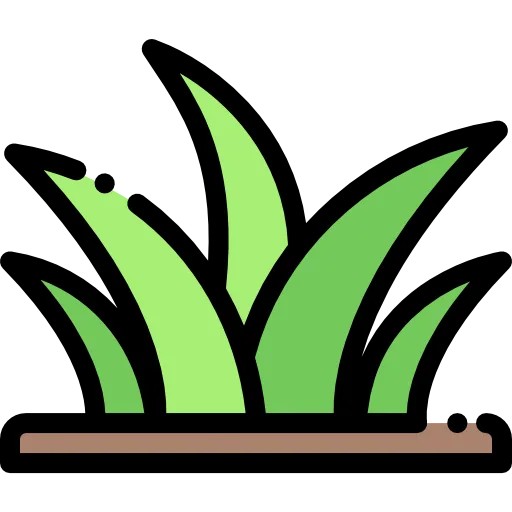 grass forage