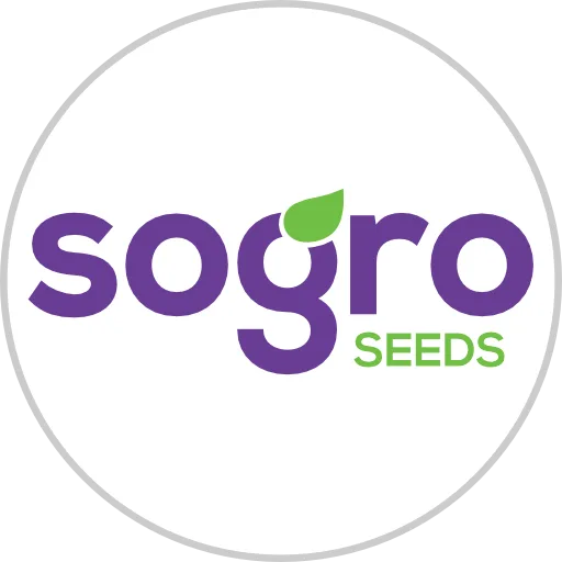 Sogro place picture