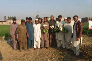 sogro uniform high yielding turnip