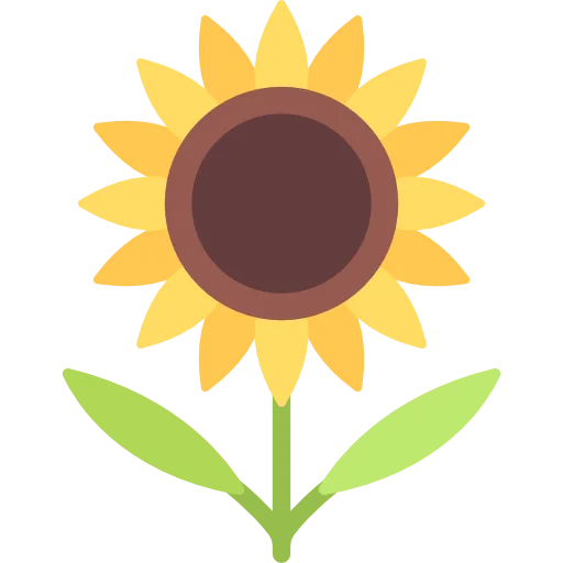 sunflower oilseed